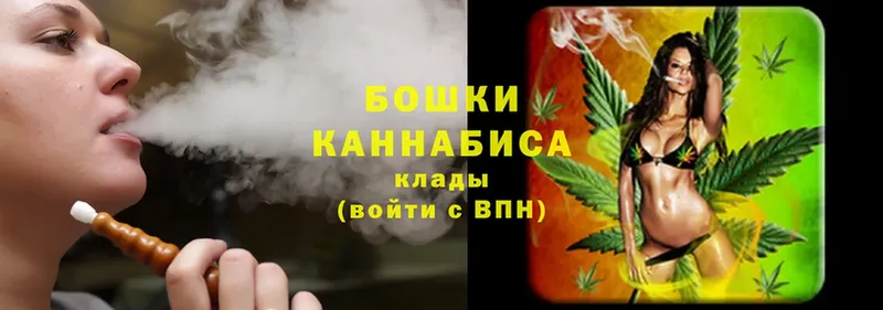 Бошки марихуана Ganja  купить наркотик  Рославль 